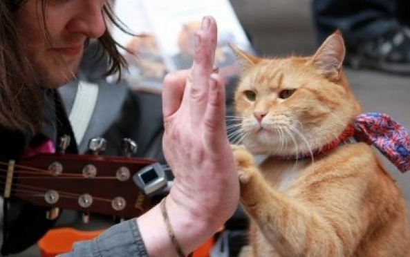 A Street Cat Named Bob Netflix