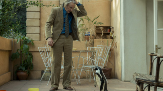 Baby & Me: The Penguin Lessons Image