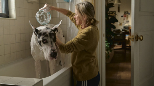 Silver Screening: The Friend Image