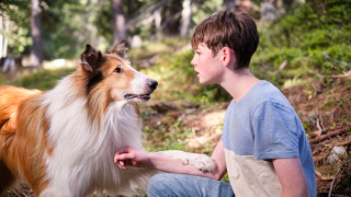 Lassie : A New Adventure